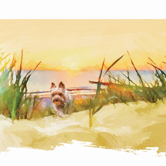 Terrier