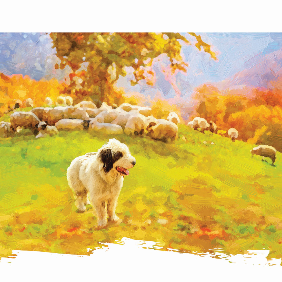 Old English Sheep Dog