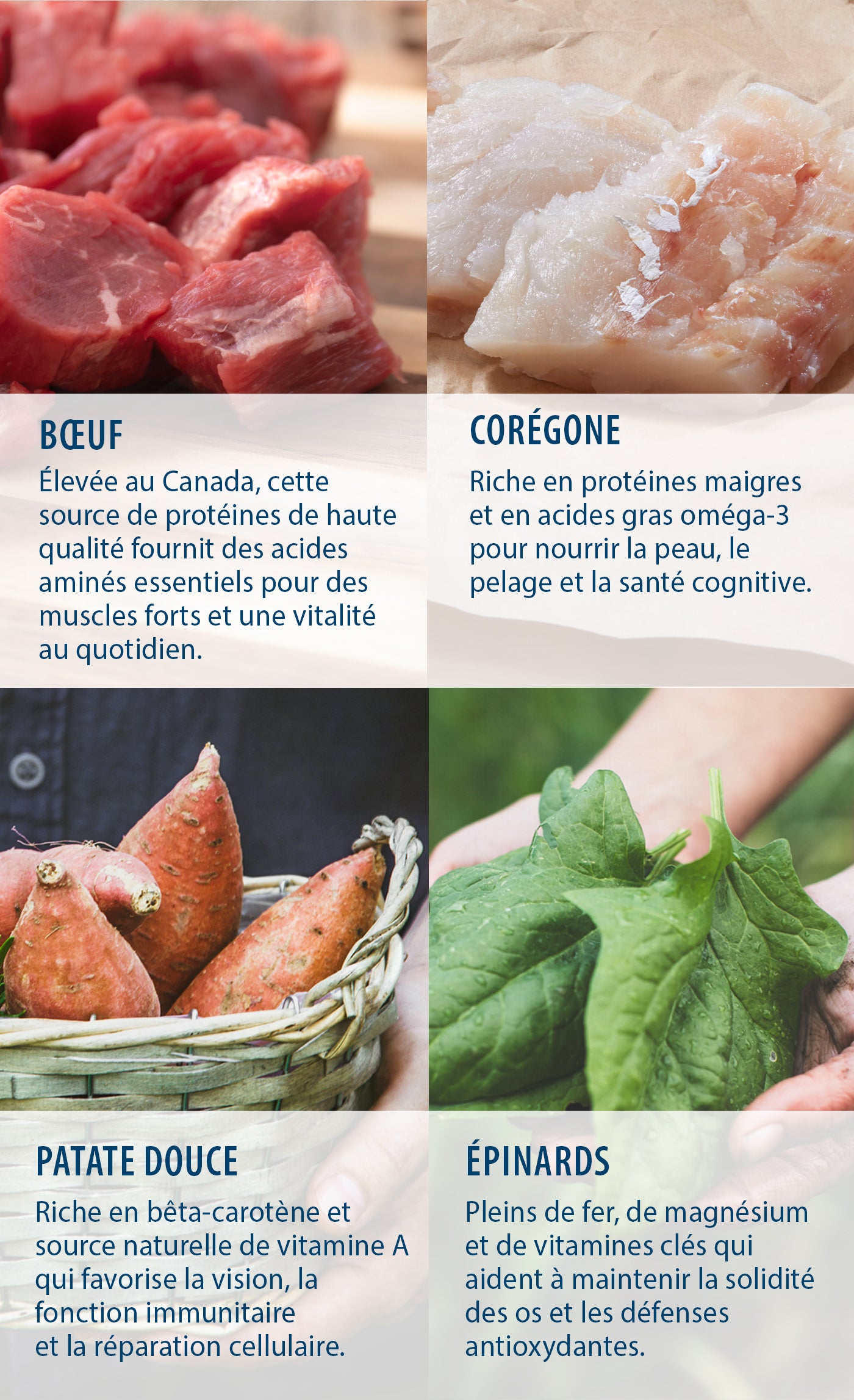 Caledon Farms