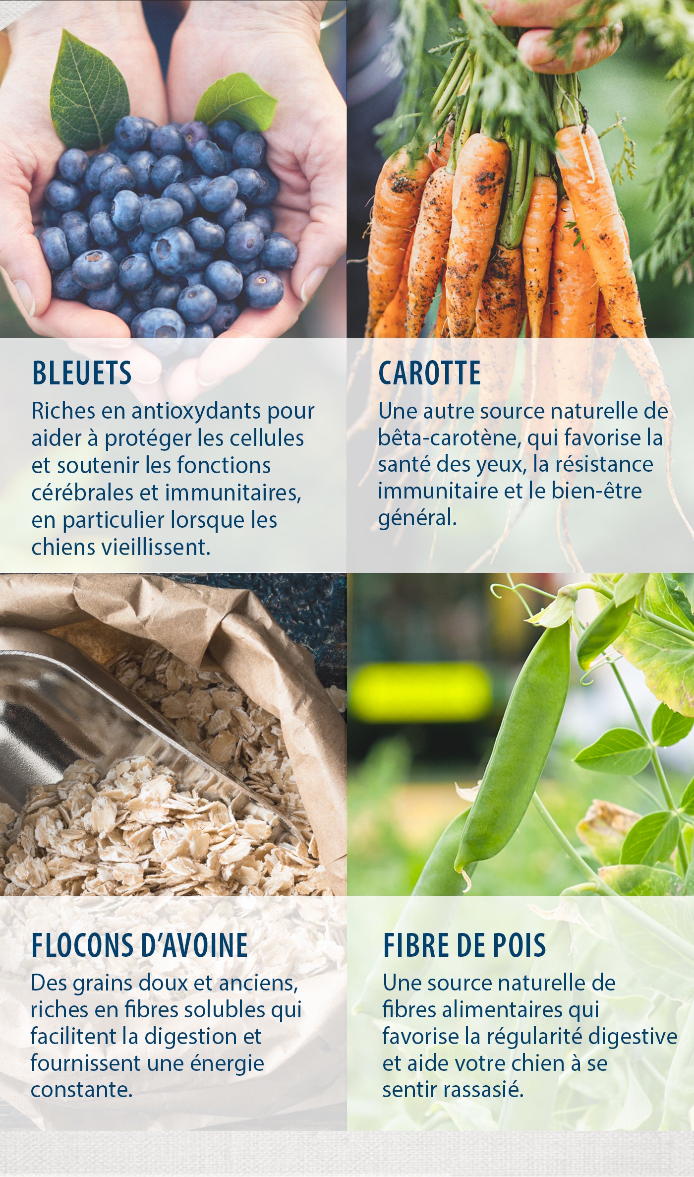 Caledon Farms