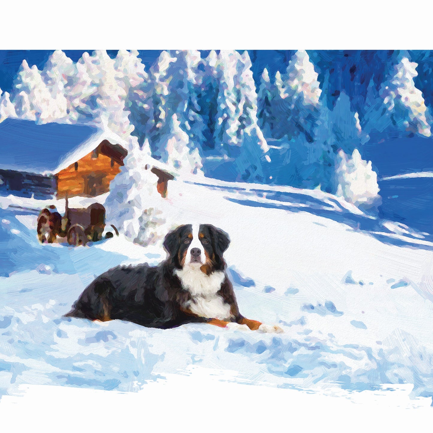 Bernese Mountain Dog 