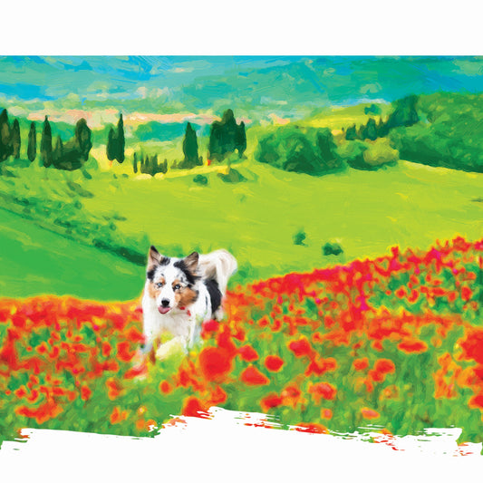 Australian Shepherd - The Track Star (Mini Trainer Freeze Dried Beef)