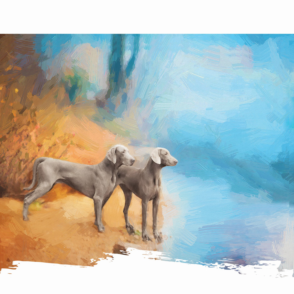 Weimaraner