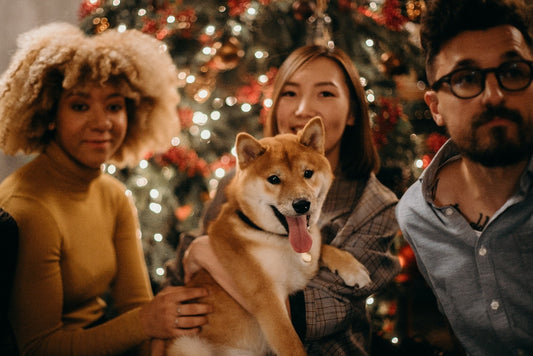 Group of friends around a dog in a festive setting