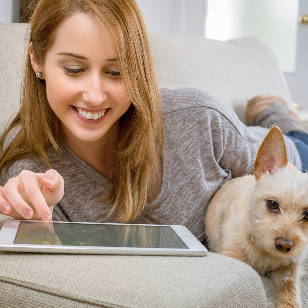 Woman Shopping Online With Her Dog Beside Her