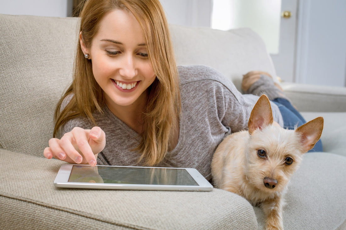 Woman Shopping Online With Her Dog Beside Her
