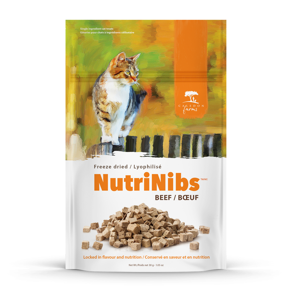 NutriNibs Freeze Dried Beef Cat Treats 30g