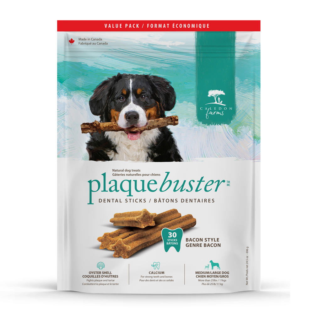 Plaque busters for dogs 2025