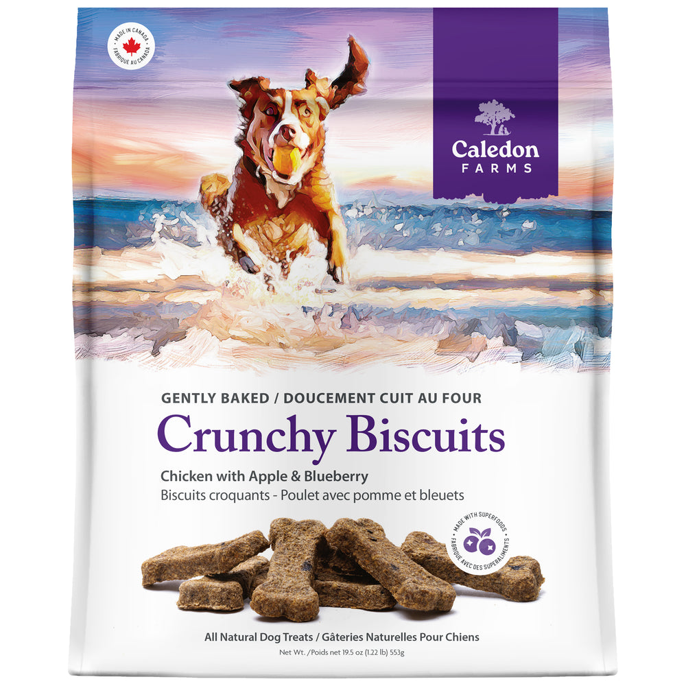 Crunchy Biscuits - Chicken with Apple & Blueberry 553g