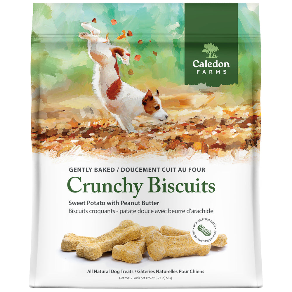 Crunchy Biscuits - Sweet Potato with Peanut Butter 553g
