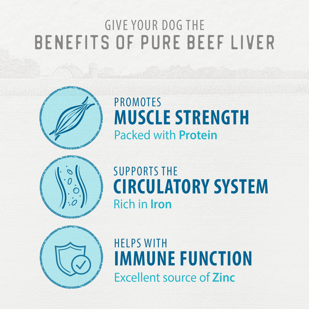 
                        
                          Freeze Dried Beef Liver Bites Value Pack 355g
                        
                      