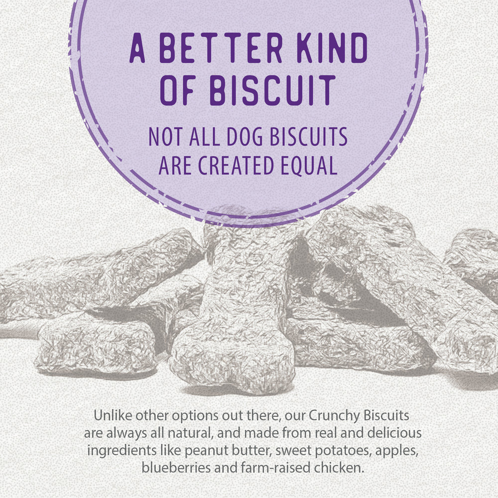 
                        
                          Crunchy Biscuits - Chicken with Apple & Blueberry 553g
                        
                      