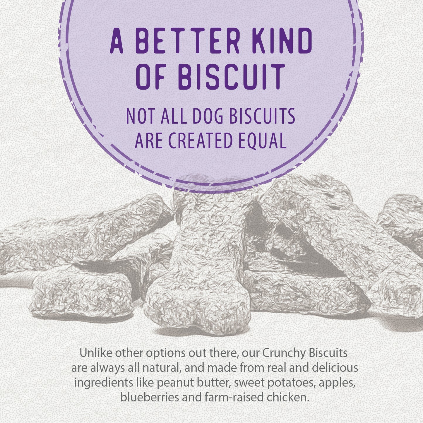 
                        
                          Crunchy Biscuits - Chicken with Apple & Blueberry 553g
                        
                      