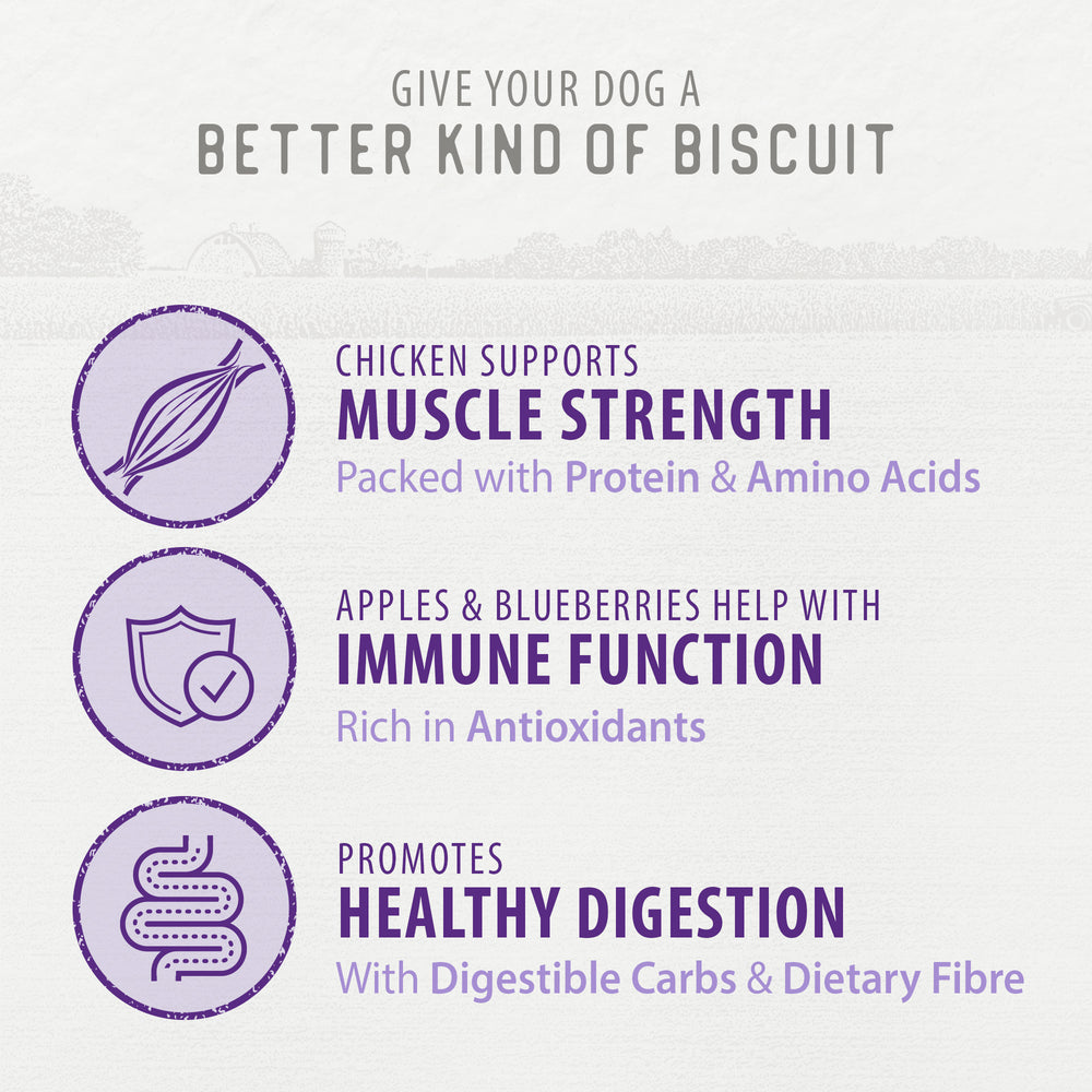 
                        
                          Crunchy Biscuits - Chicken with Apple & Blueberry 553g
                        
                      