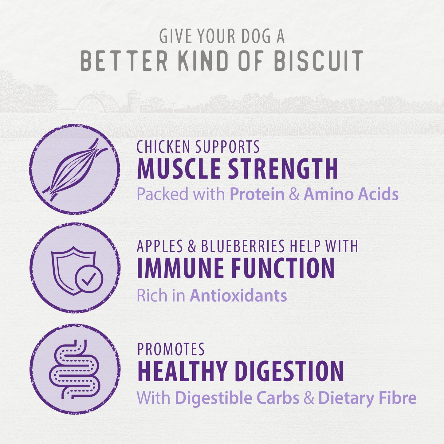 
                        
                          Crunchy Biscuits - Chicken with Apple & Blueberry 553g
                        
                      