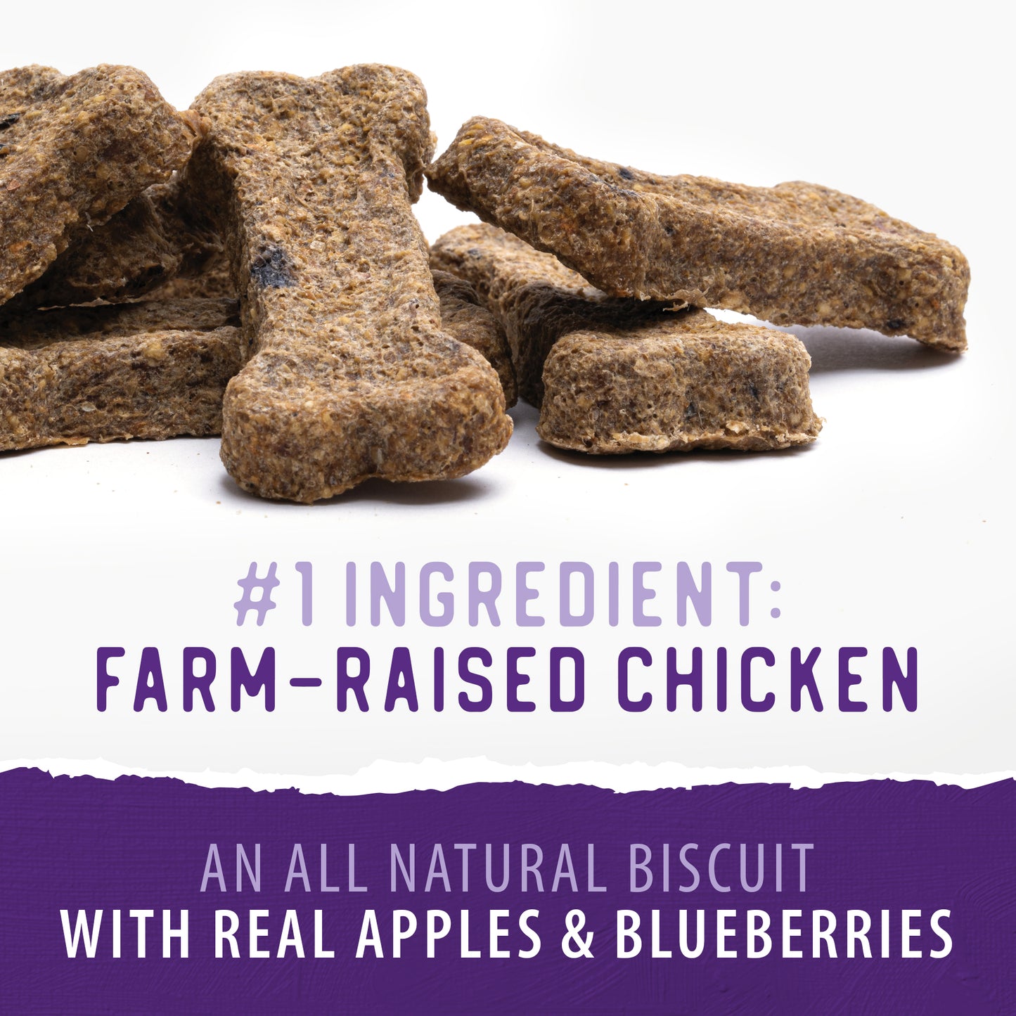 
                        
                          Crunchy Biscuits - Chicken with Apple & Blueberry 553g
                        
                      