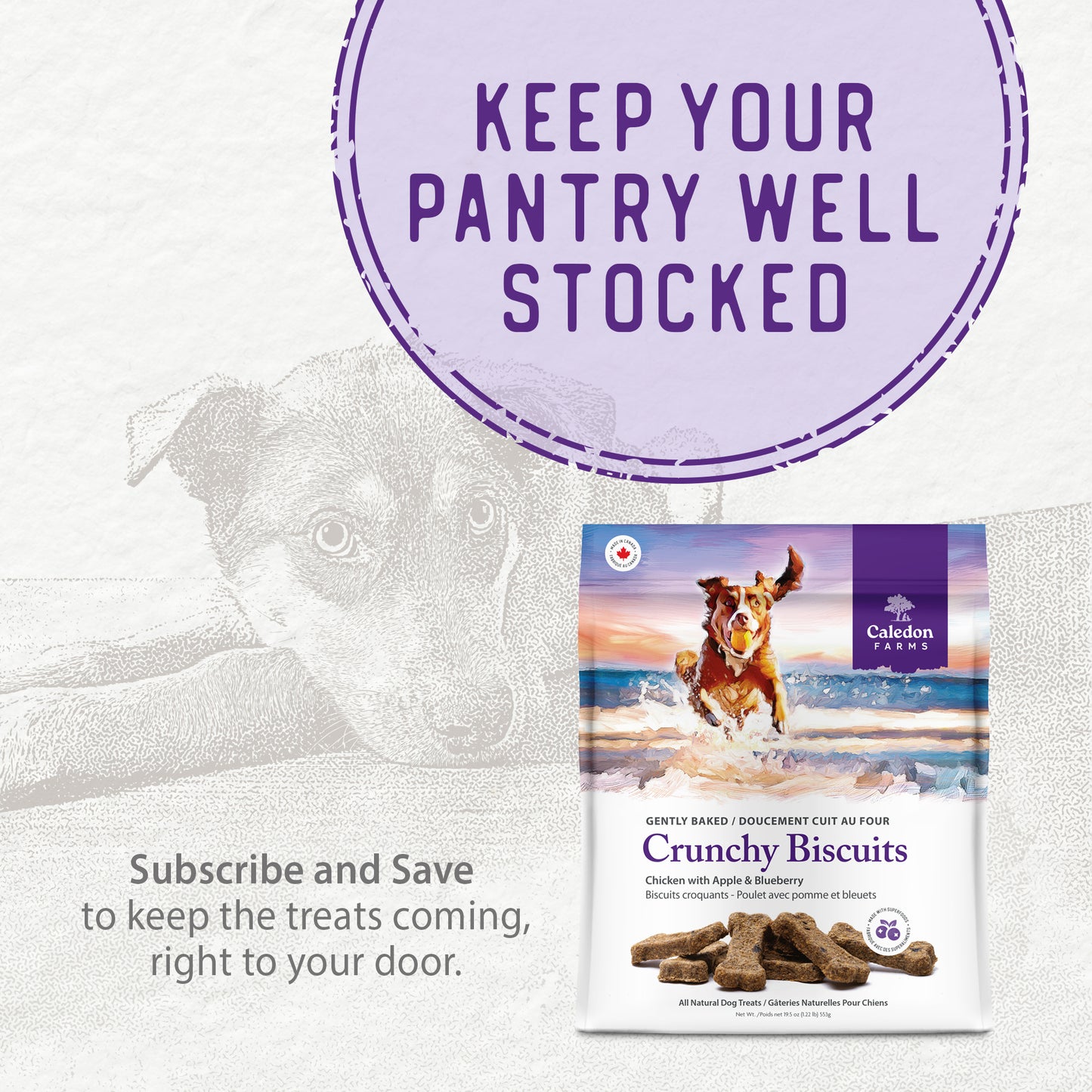 
                        
                          Crunchy Biscuits - Chicken with Apple & Blueberry 553g
                        
                      