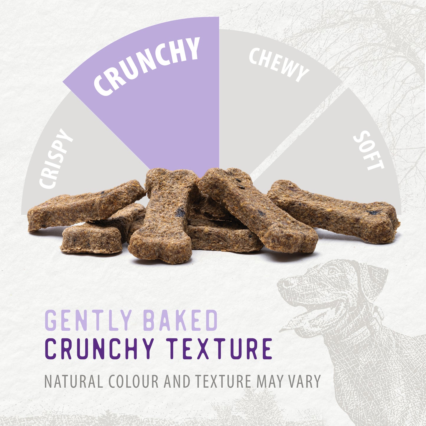 
                        
                          Crunchy Biscuits - Chicken with Apple & Blueberry 553g
                        
                      