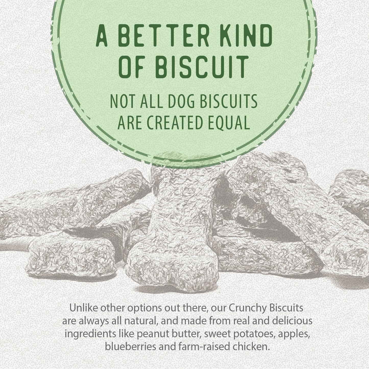 
                        
                          Crunchy Biscuits - Sweet Potato with Peanut Butter 553g
                        
                      