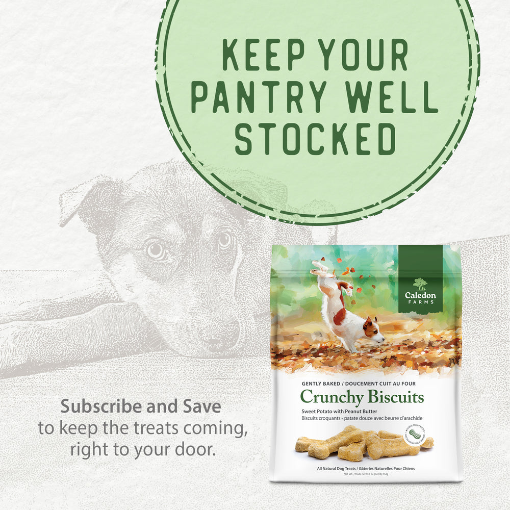 
                        
                          Crunchy Biscuits - Sweet Potato with Peanut Butter 553g
                        
                      