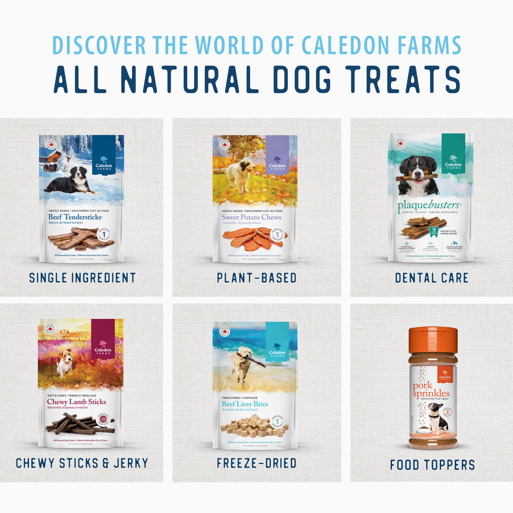 
                        
                          Freeze Dried Beef Liver Bites Value Pack 355g
                        
                      