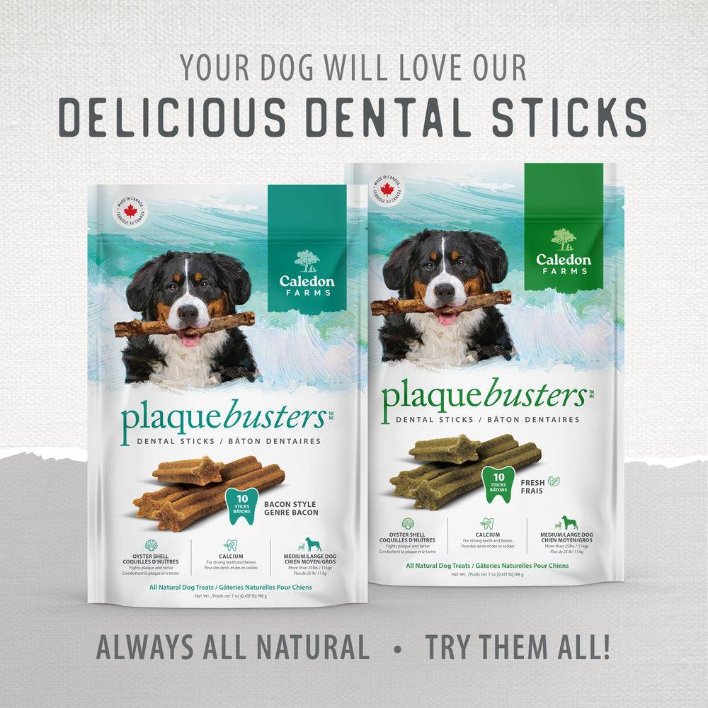 
                        
                          Plaque Busters Bacon Dental Sticks 198g
                        
                      