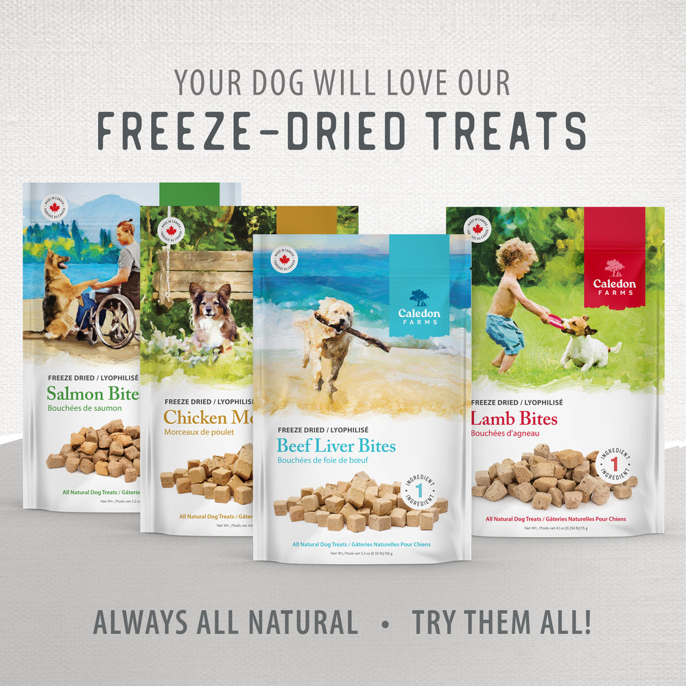 
                        
                          Freeze Dried Salmon Bites 90g
                        
                      