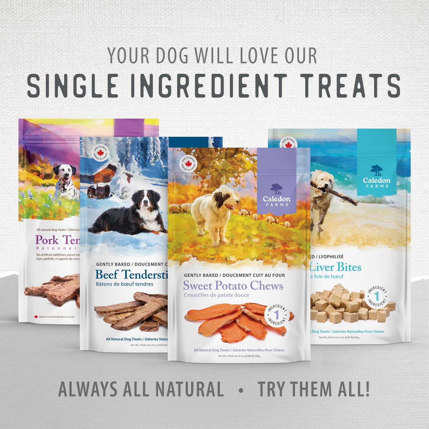 
                        
                          Sweet Potato Chews 265g
                        
                      