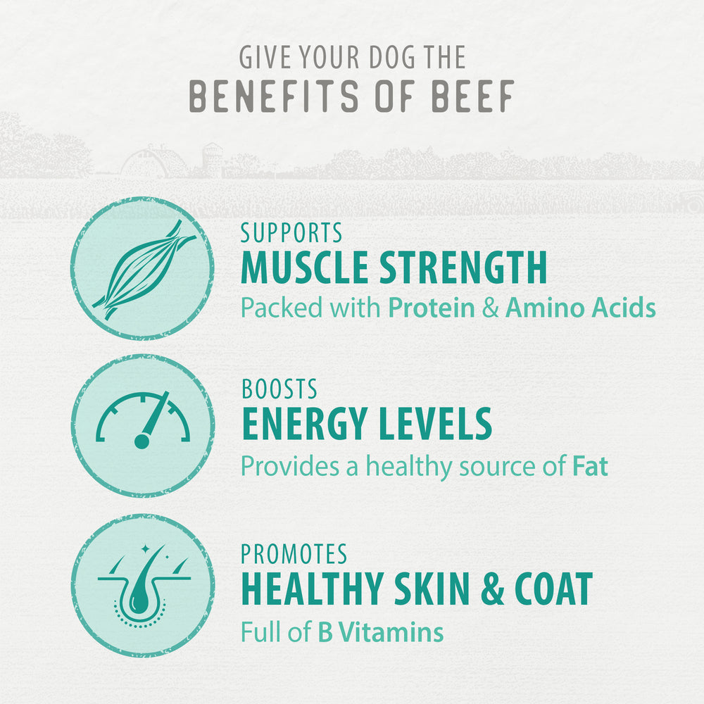 
                        
                          Chewy Beef Sticks 220g
                        
                      