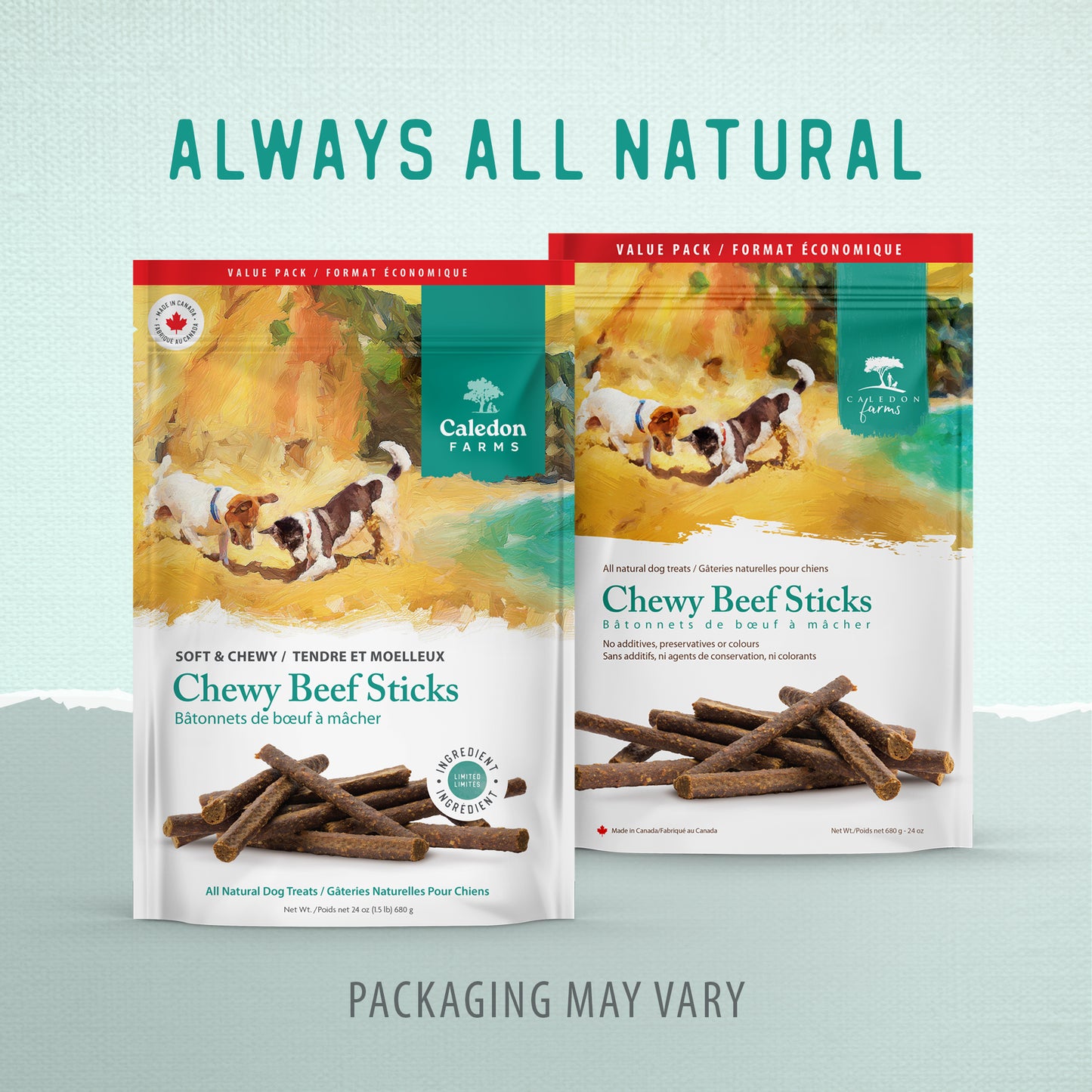 
                        
                          Chewy Beef Sticks Value Pack 680g
                        
                      