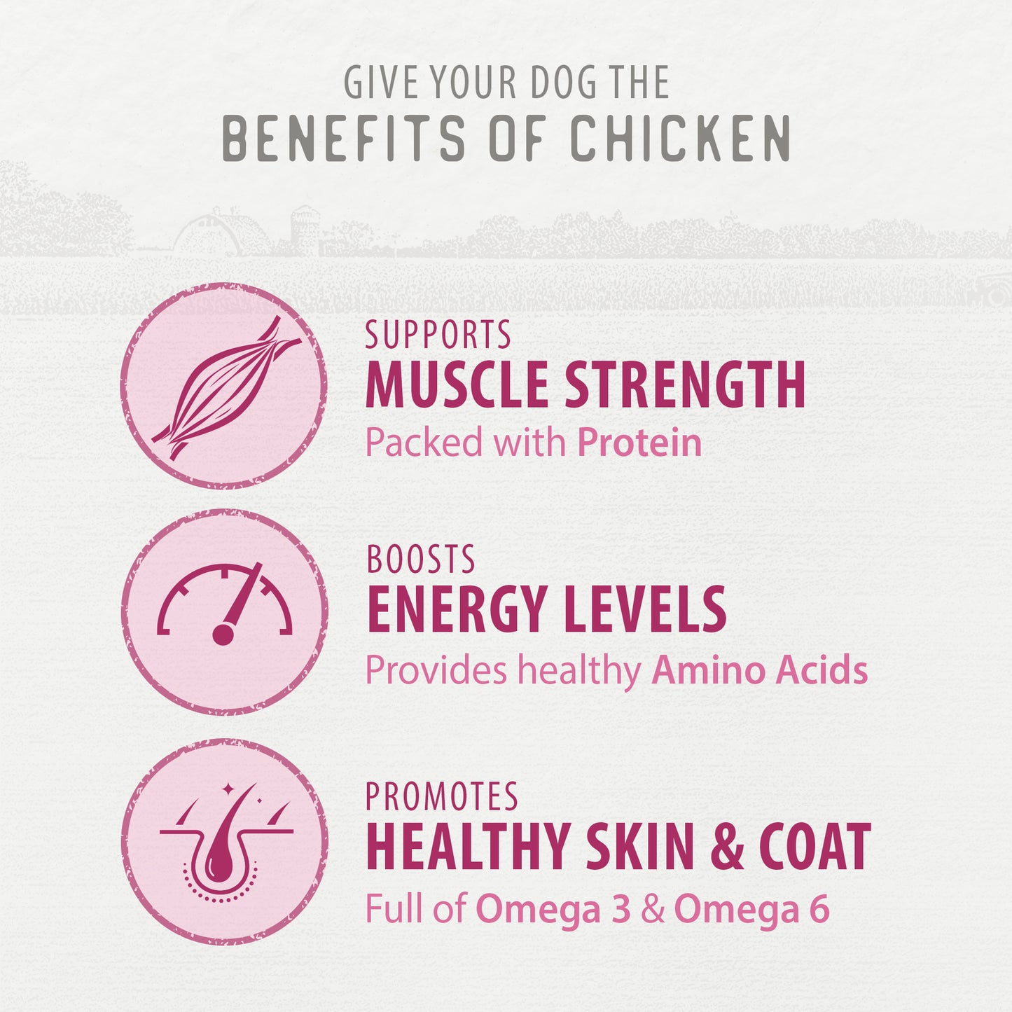 
                        
                          Chewy Chicken Sticks™ 220g
                        
                      