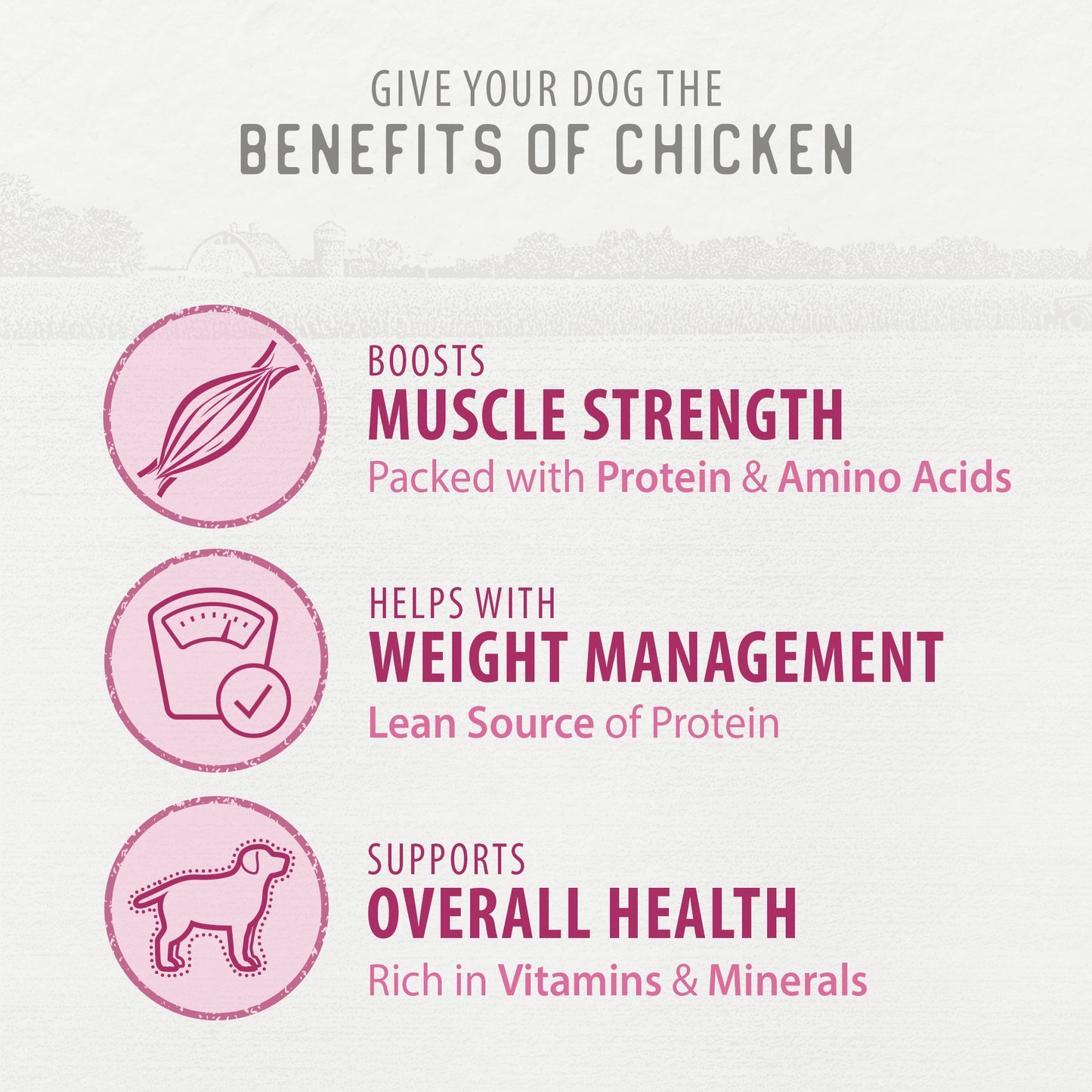 
                        
                          Chewy Chicken Sticks™ 220g
                        
                      