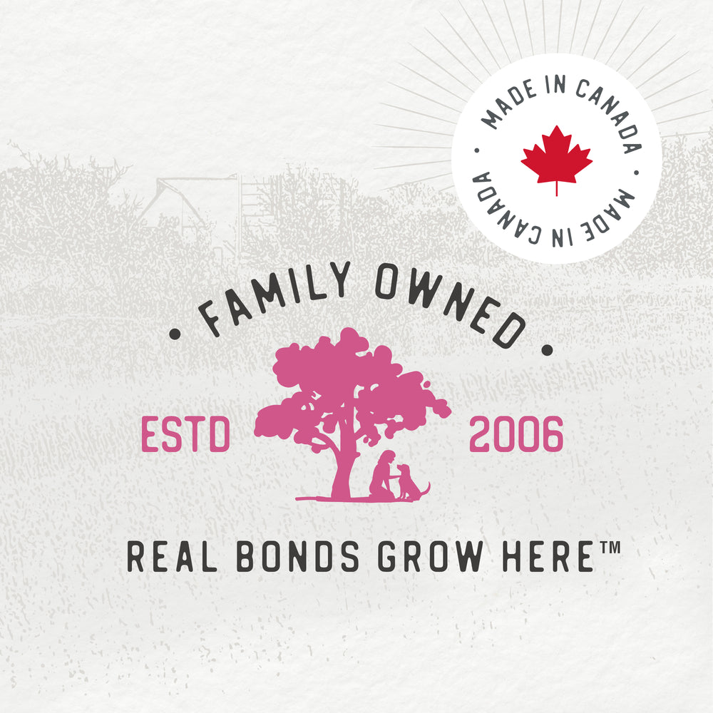 
                        
                          Chewy Chicken Sticks™ 220g
                        
                      