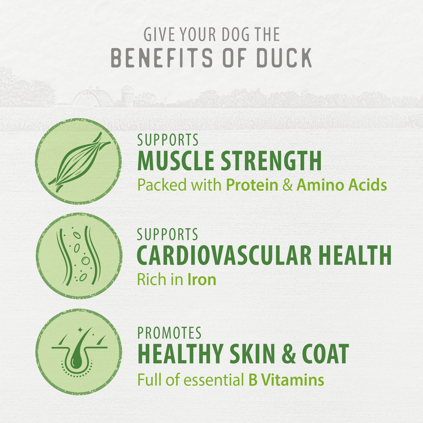 
                        
                          Chewy Duck Sticks Value Pack 680g
                        
                      