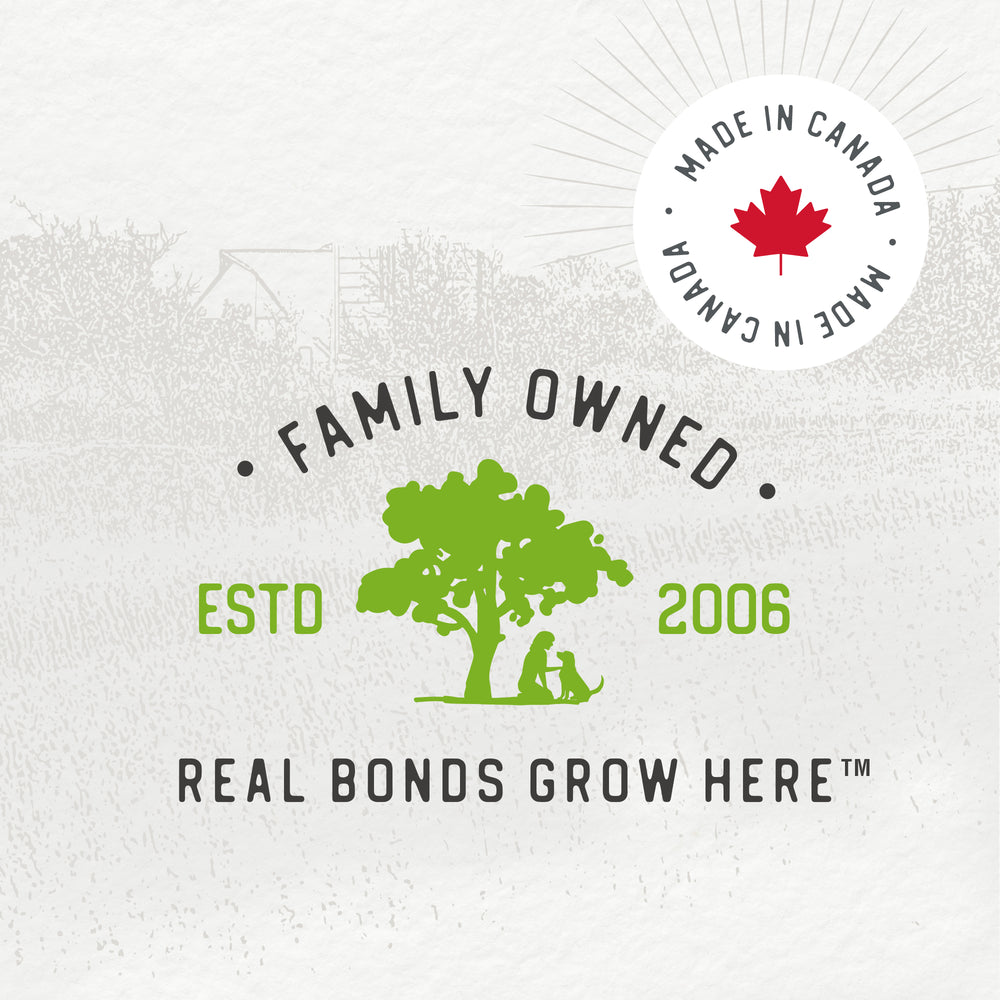 
                        
                          Chewy Duck Sticks Value Pack 680g
                        
                      