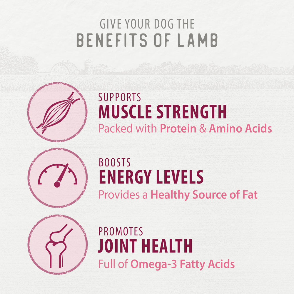 
                        
                          Chewy Lamb Sticks 200g
                        
                      