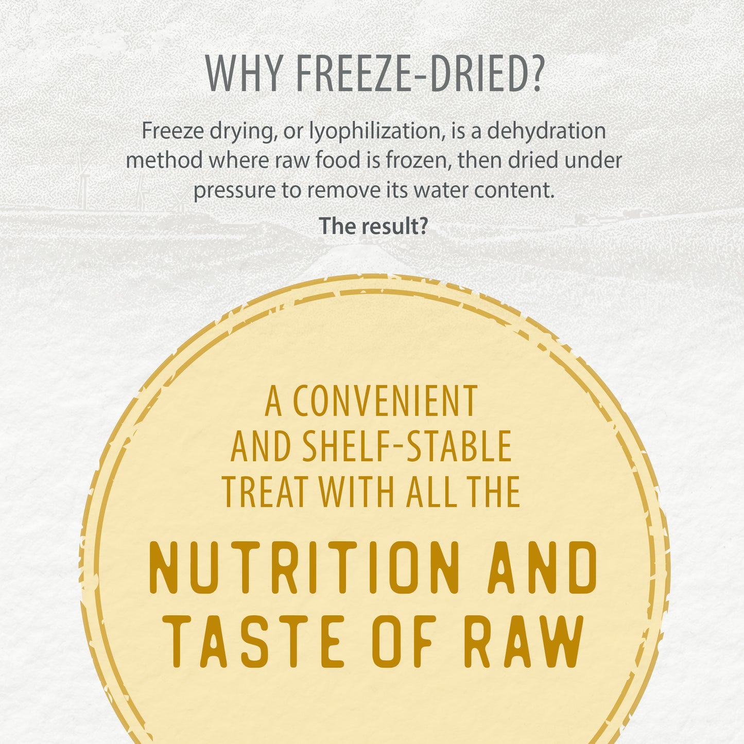 
                        
                          Chicken Morsels 125g
                        
                      