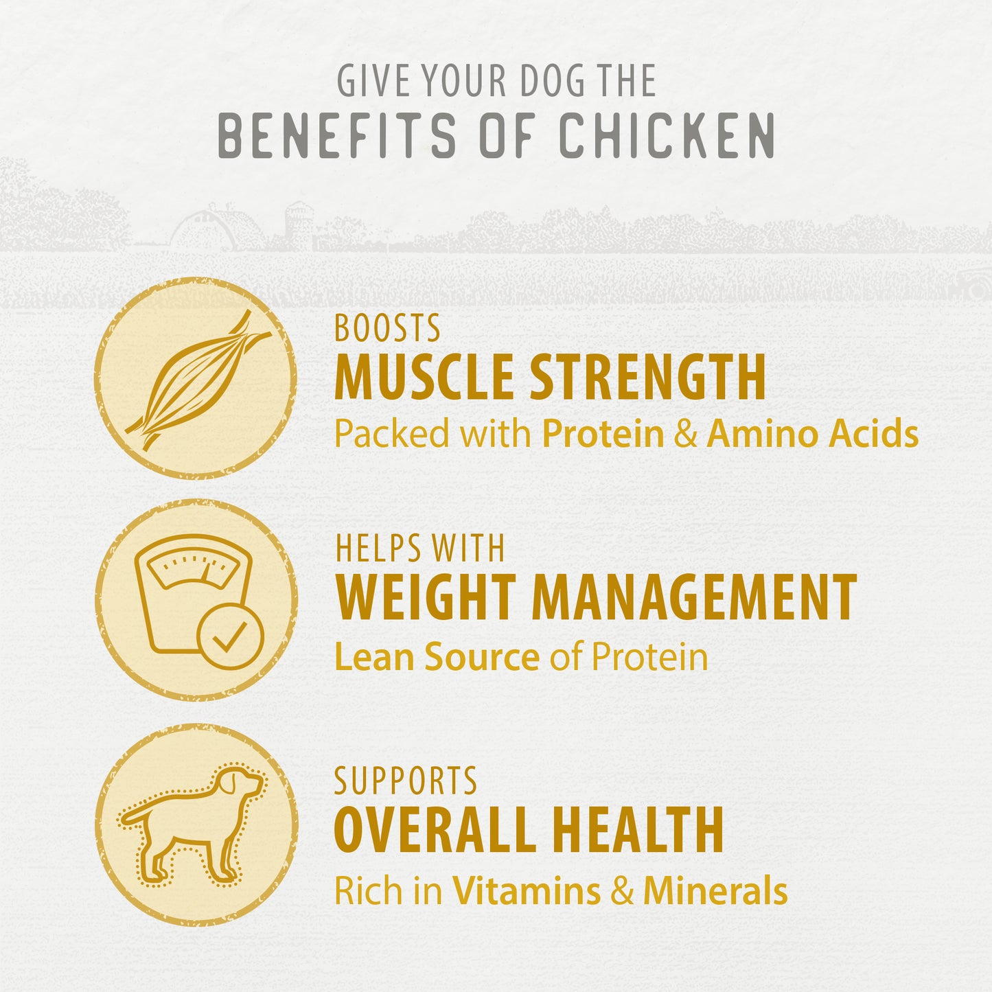 
                        
                          Chicken Morsels 125g
                        
                      