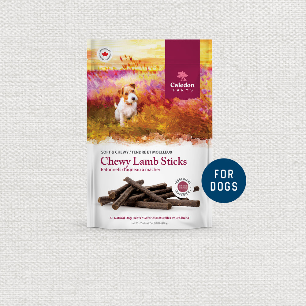 Soft & Chewy Treats