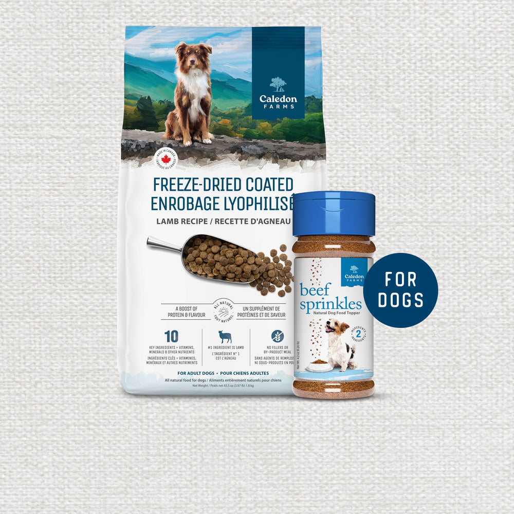 Dog Food & Toppers