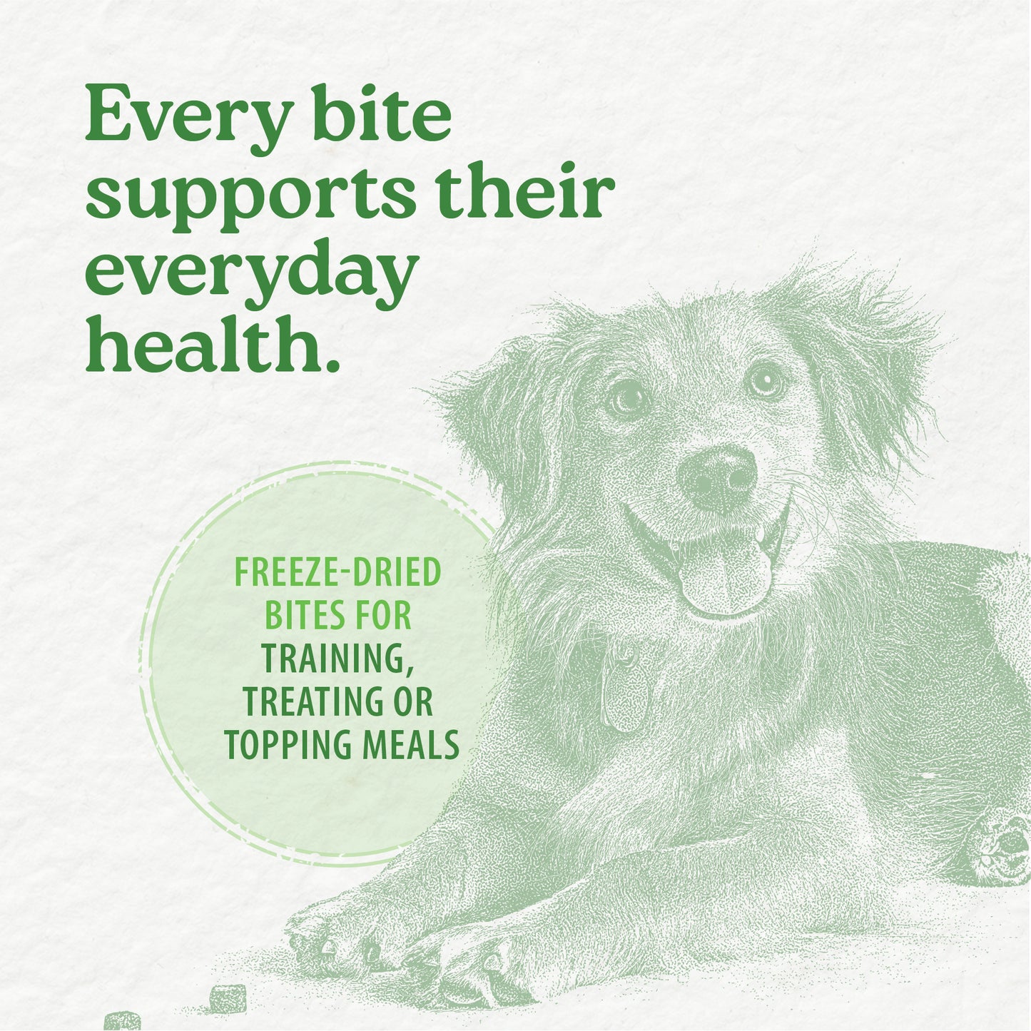 
                        
                          A green-tinted illustration of a happy dog lying down with its tongue out. Text: Every bite supports their skin and coat health. Caledon Farms Duck Bites + Daily Essentials 240g—freeze-dried treats for training, treating, or topping meals.
                        
                      