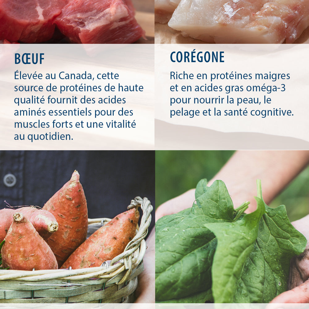 Caledon Farms