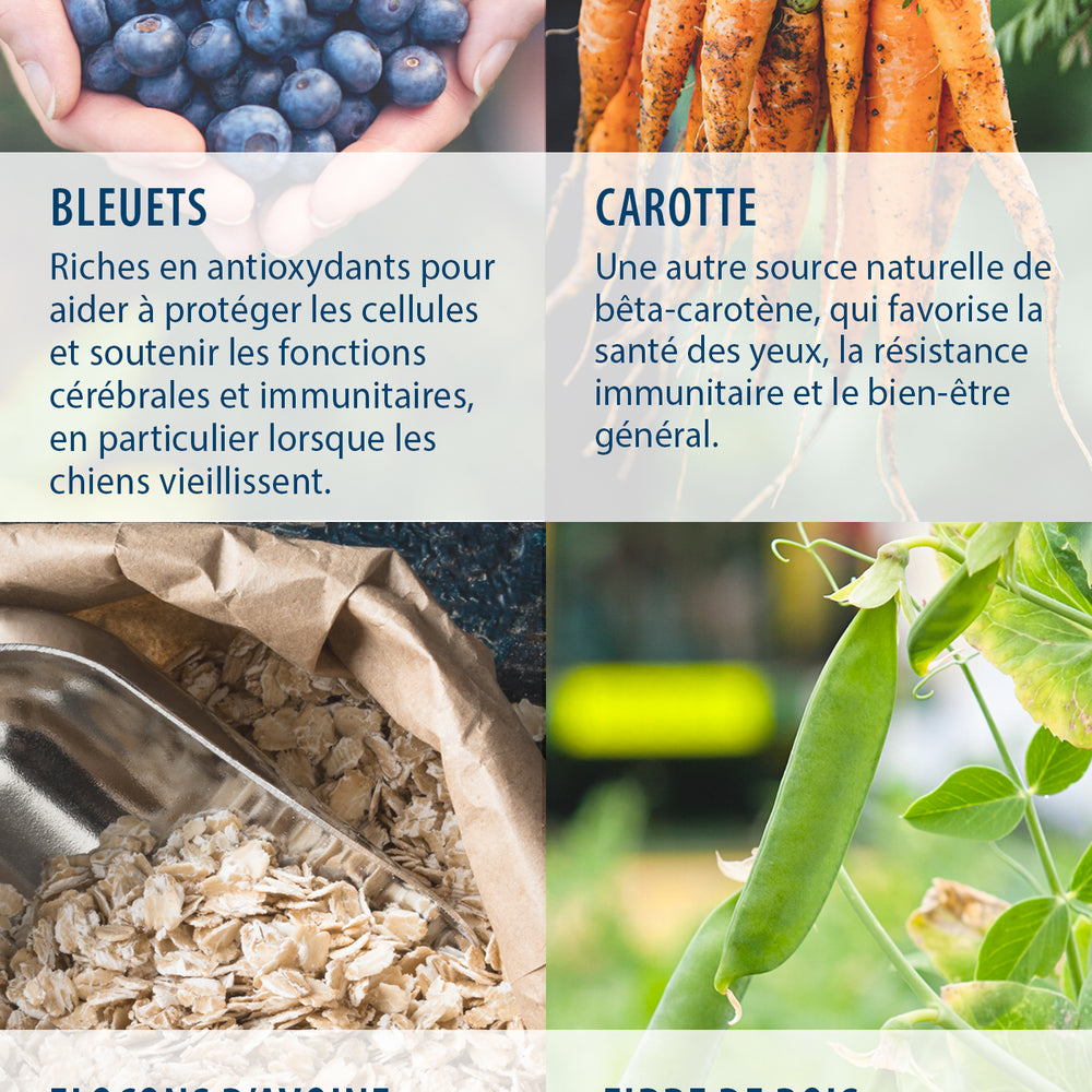 Caledon Farms