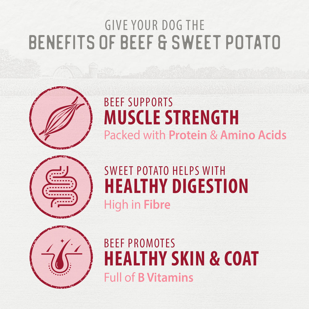 
                        
                          Homestyle Beef & Sweet Potato Grillers 426g
                        
                      