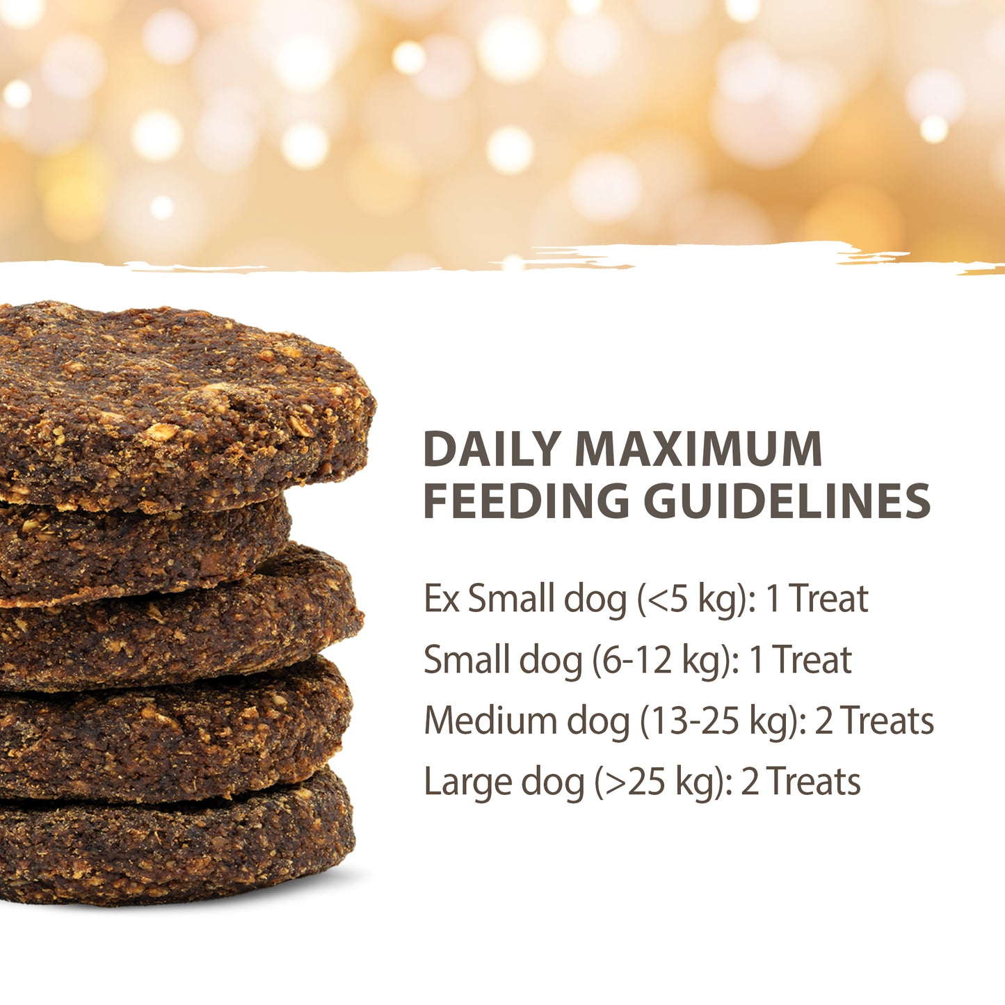 Protein Cookies - Lamb with Ginger Spice (Holiday Special)