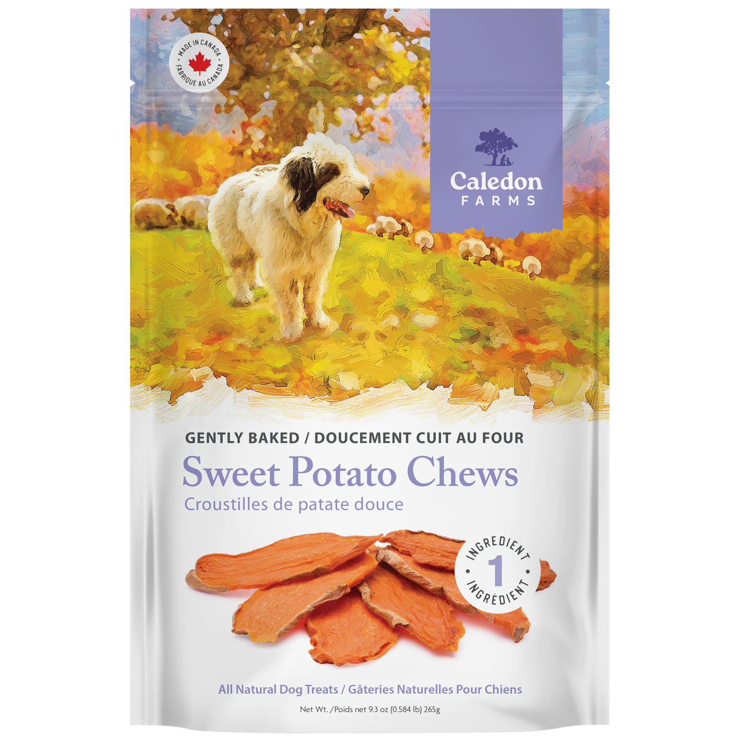 Caledon Farms