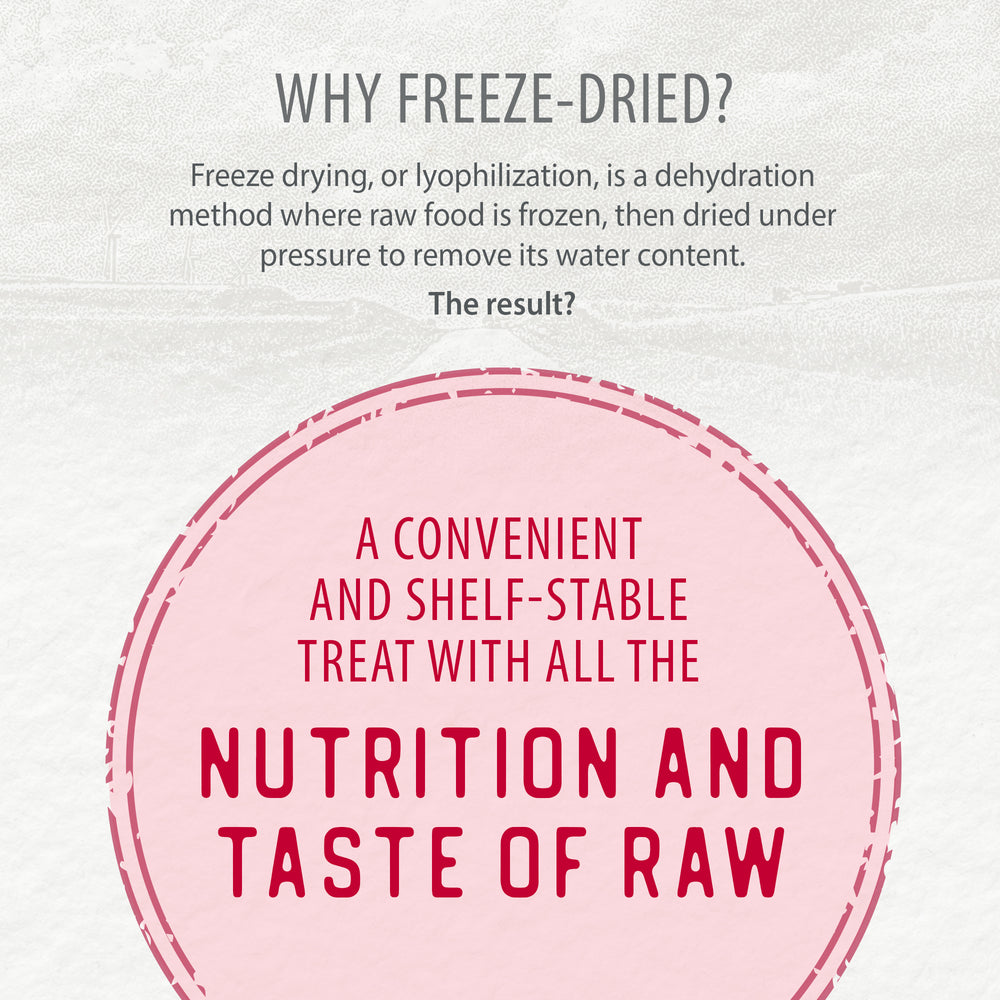 
                        
                          Freeze Dried Lamb Bites 115g
                        
                      