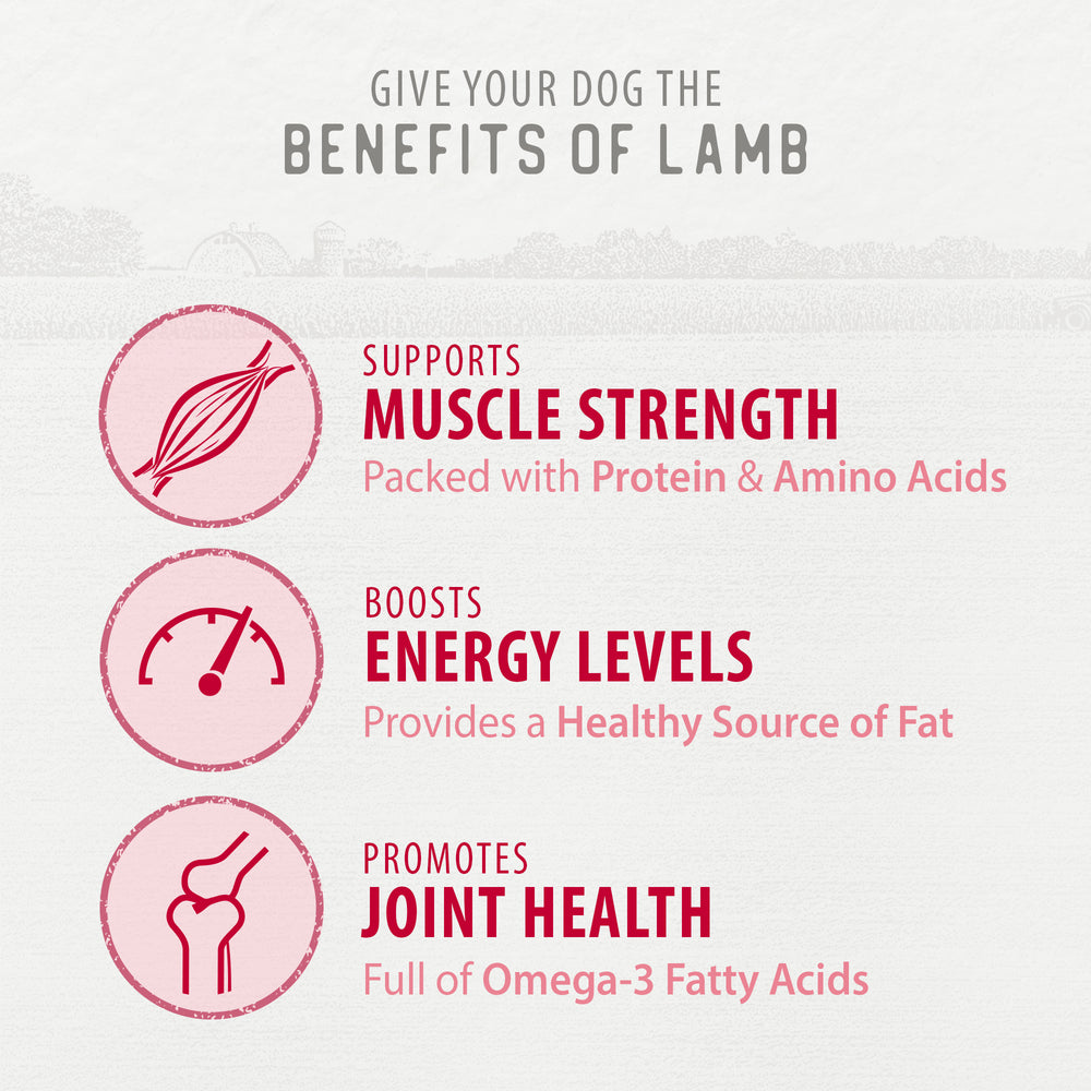 
                        
                          Freeze Dried Lamb Bites 115g
                        
                      