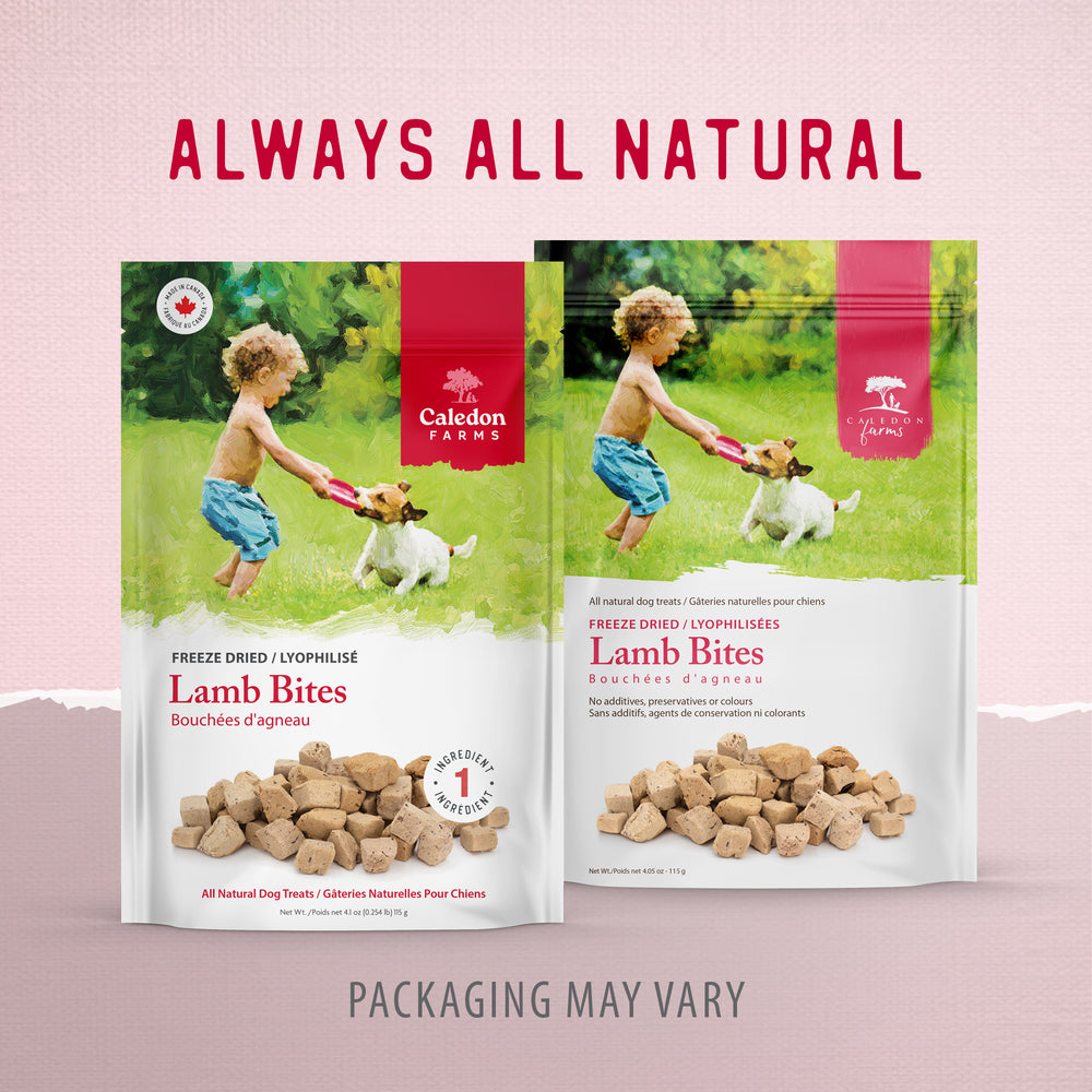 
                        
                          Freeze Dried Lamb Bites 115g
                        
                      