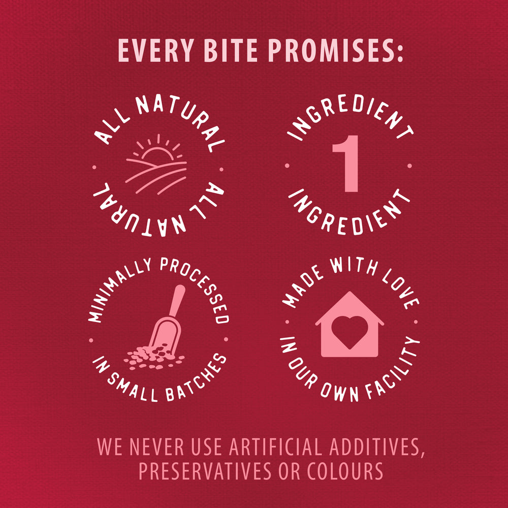 
                        
                          Red background with white text and icons detailing product promises on a food packaging design.
                        
                      